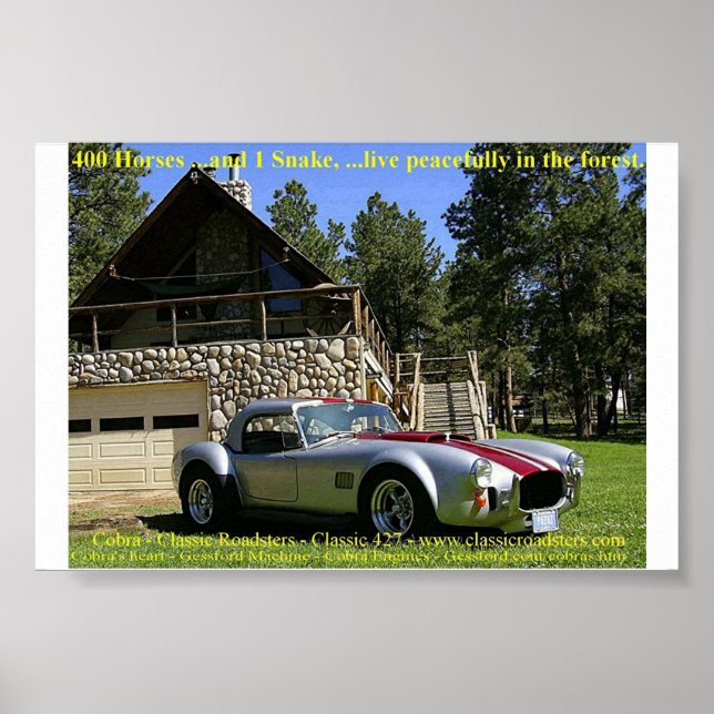 Póster CobraNGrass (Frente)