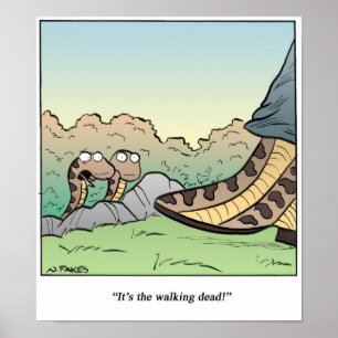 Poster Cobras/morto de passeio