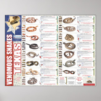 Póster Cobras venenosas do Texas Poser pela NNTRC