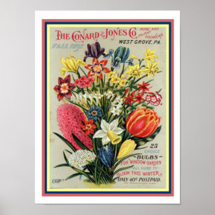 Póster cobrir 12x16 do Catálogo de Sementes de Flor 1897