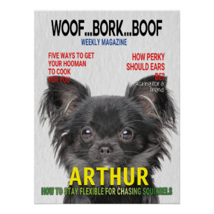 Póster Cobrir da Revista Chihuahua Parody