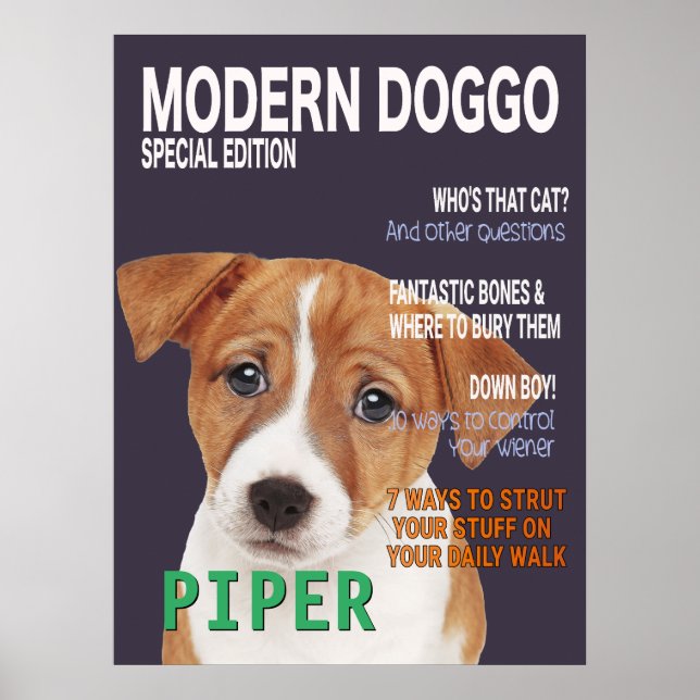 Poster Cobrir da Revista Jack Russell Terrier Parody (Frente)