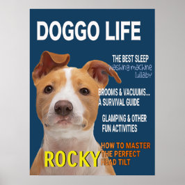 Poster Cobrir da Revista Pitbull Parody