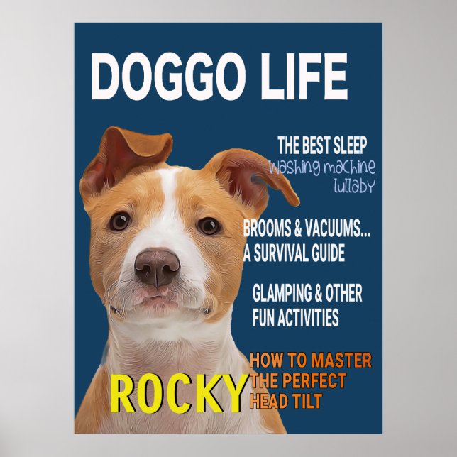 Poster Cobrir da Revista Pitbull Parody (Frente)