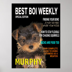 Poster Cobrir da revista Yorkshire Terrier Parody