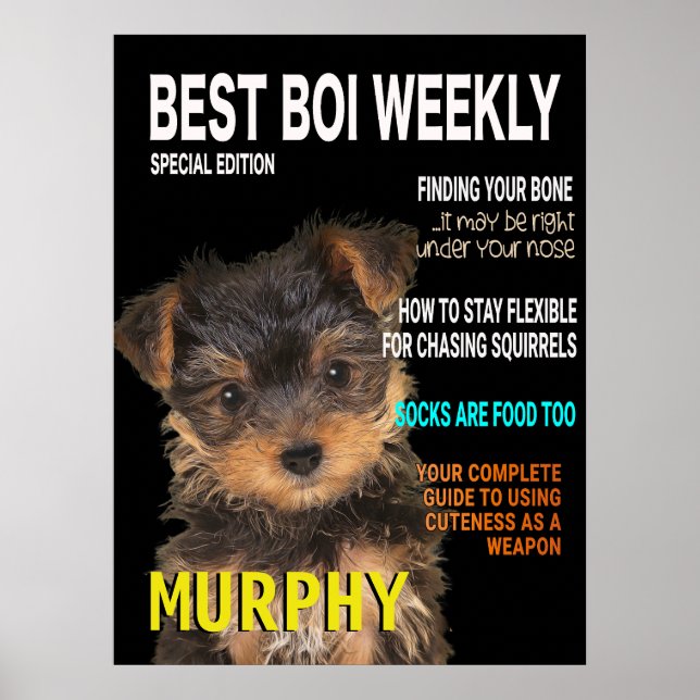 Poster Cobrir da revista Yorkshire Terrier Parody (Frente)