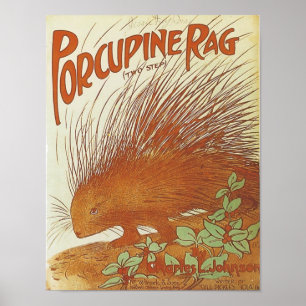 Poster Cobrir de Canais Porcupine Rag Vintage