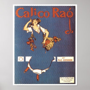 Póster Cobrir de Canalização Calico Rag Vintage