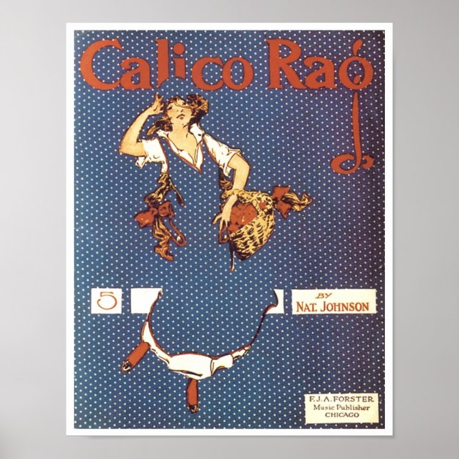 Póster Cobrir de Canalização de Calico Rag Vintage (Frente)