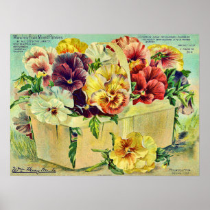 Poster Cobrir de Pacote de Semente Vintage com Flores de