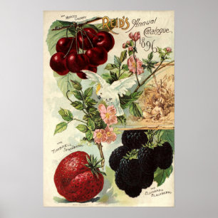 Poster Cobrir do Catálogo de Sementes da Vintage Victori