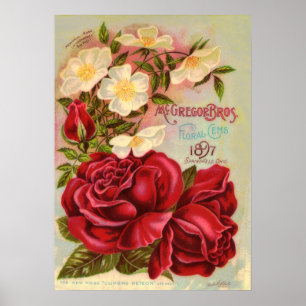 Poster Cobrir do Catálogo Flor de Rosas Floral Gem 1897
