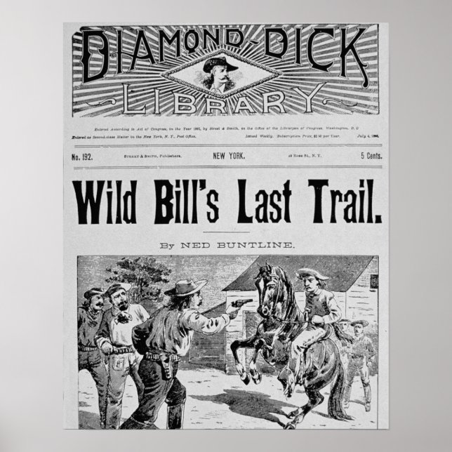 Poster Cobrir frontal do 'Último Caminho de Bill Selvagem (Frente)