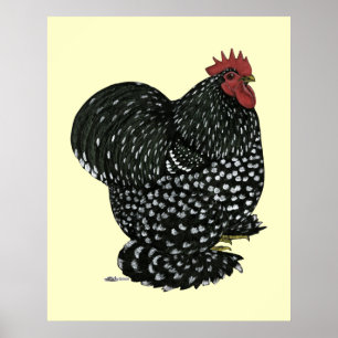 Poster Cochim:  Motel Preto