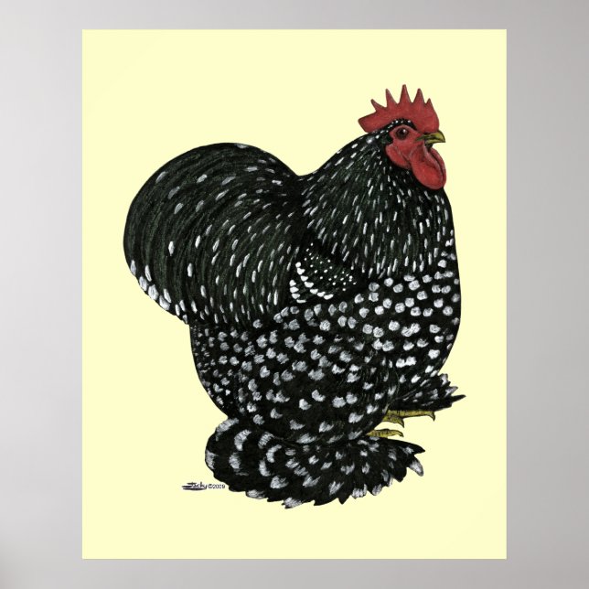 Poster Cochin: Mottle Negro (Frente)