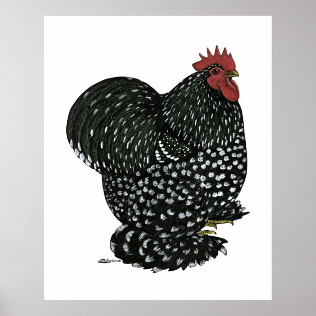 Póster Cochin: Mottle Negro (Frente)