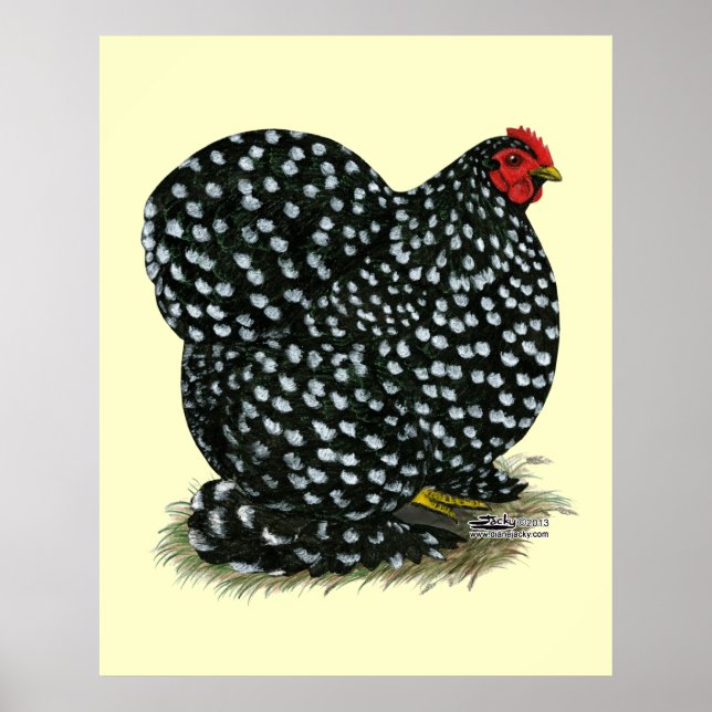 Poster Cochin Mottled Hen (Frente)