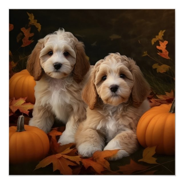 Póster Cockapoo Puppy Autumn Delight Pumpkin (Frente)