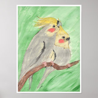 Póster Cockateils