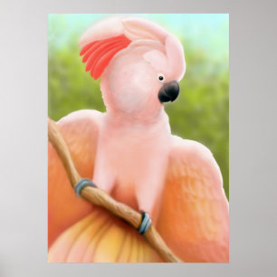 Póster Cockatoo Moluco