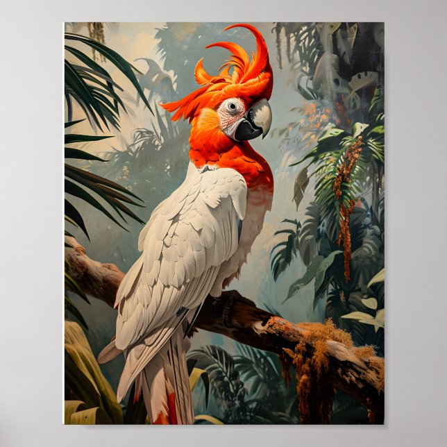 Poster Cockatoo Portrait Vintage (Frente)
