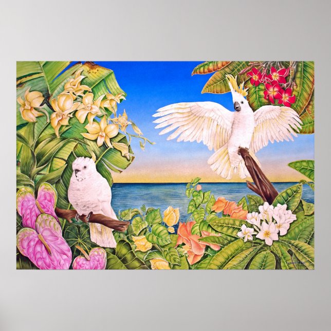 Póster Cockatoos com creme sulfúrico (Frente)