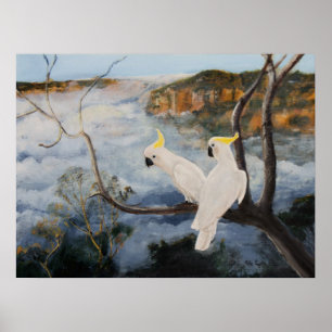Póster Cockatoos com crista do enxofre nas montanhas