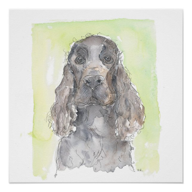 Póster Cocker Spaniel (Frente)