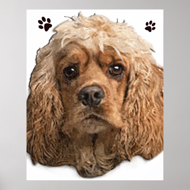 Poster Cocker Spaniel (Frente)