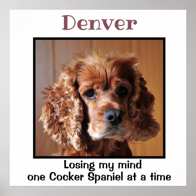 Poster Cocker Spaniel com uma citação de Arte de Parede P (Frente)