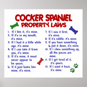 PÓSTER COCKER SPANIEL PL2