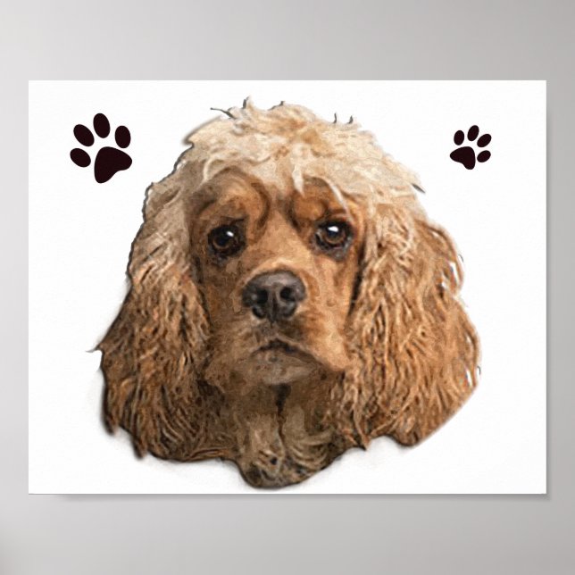 Poster cocker Spaniels (Frente)