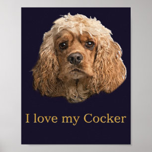 Poster cocker Spaniels