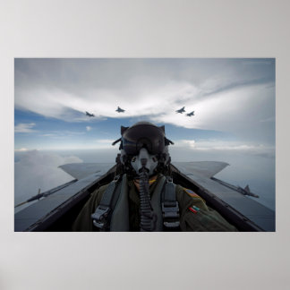 Póster Cockpit Selfie