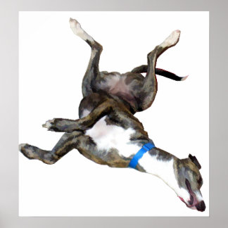 Póster Cockroaching