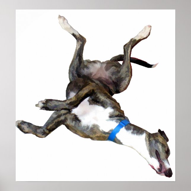 Póster Cockroaching (Frente)