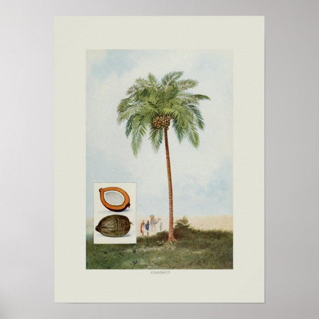 Póster Coco (Frente)