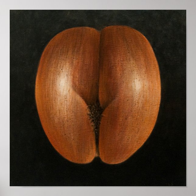 Póster Coco de Mer 2010 (Frente)