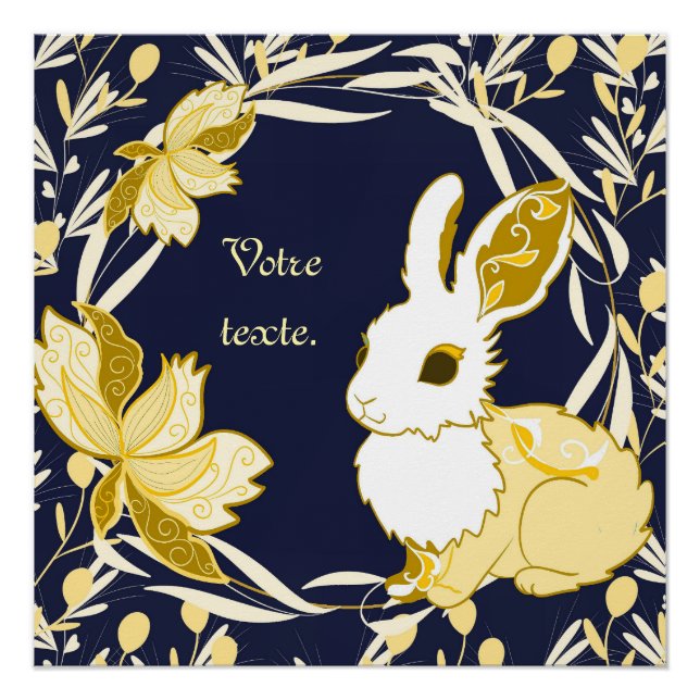 Póster Coco le lapin (Frente)