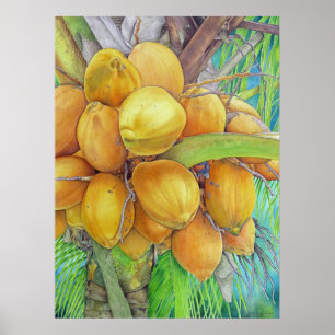 Póster Cocos dourados