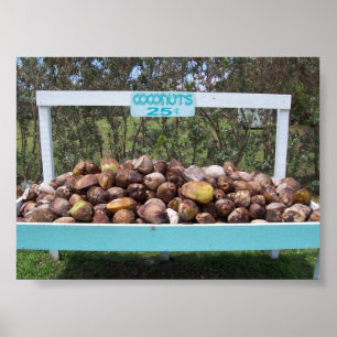 Poster Cocos indo