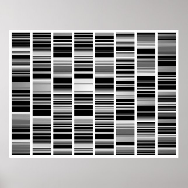 Póster Codex (Frente)