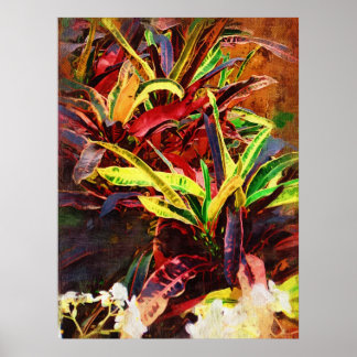 Poster Codieu tropical - Croton
