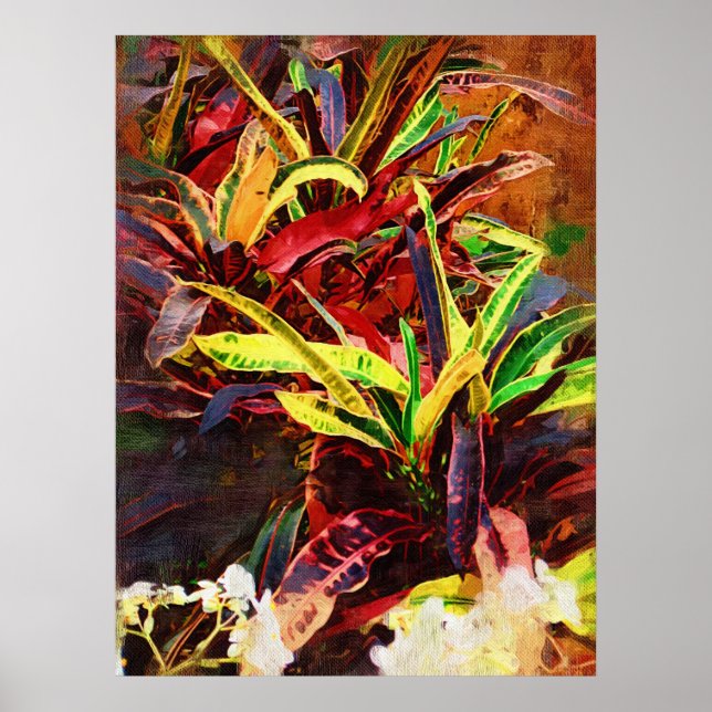 Poster Codieu tropical - Croton (Frente)
