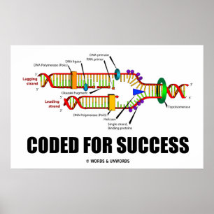 Póster Codificado para o sucesso (réplica do ADN)