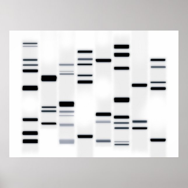 Póster Código de DNA Art Black on White (Frente)