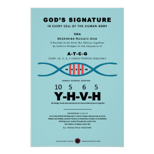 Póster Código DNA-YHVH