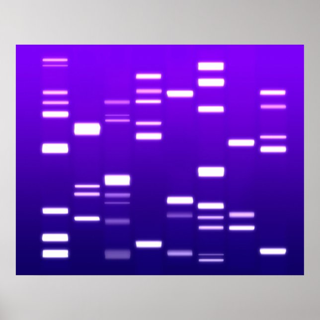 Poster Código Genético DNA Roxo (Frente)