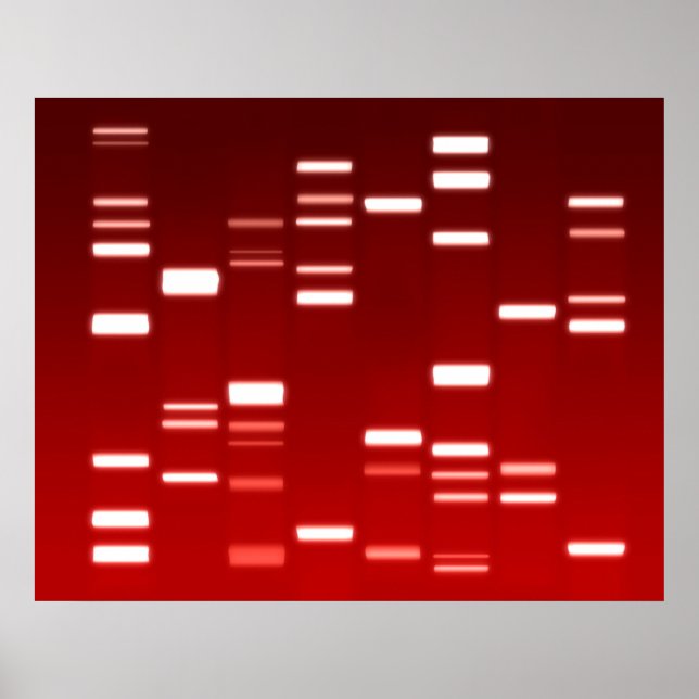 Poster Código Genético do DNA Vermelho (Frente)