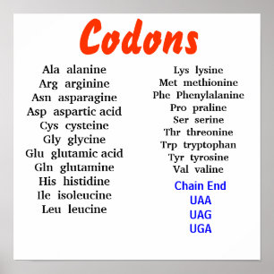 Poster Codões